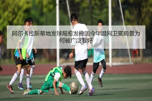 a-er-ka-la-si-cao-di-fa-qiu-ju-yu-fa-wen-gu-jin-nian-wen-wang-wei-mian-qian-jing-wei-he-bei-guang-fan-kan-hao-2-856.jpg